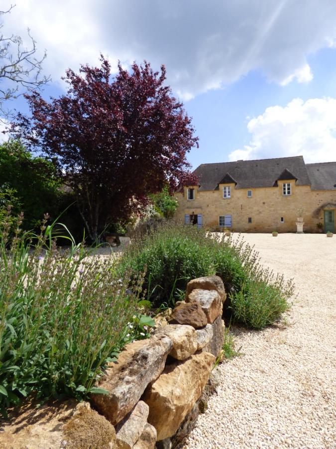 Britavit Bed & Breakfast Saint-Avit-Sénieur Exterior photo