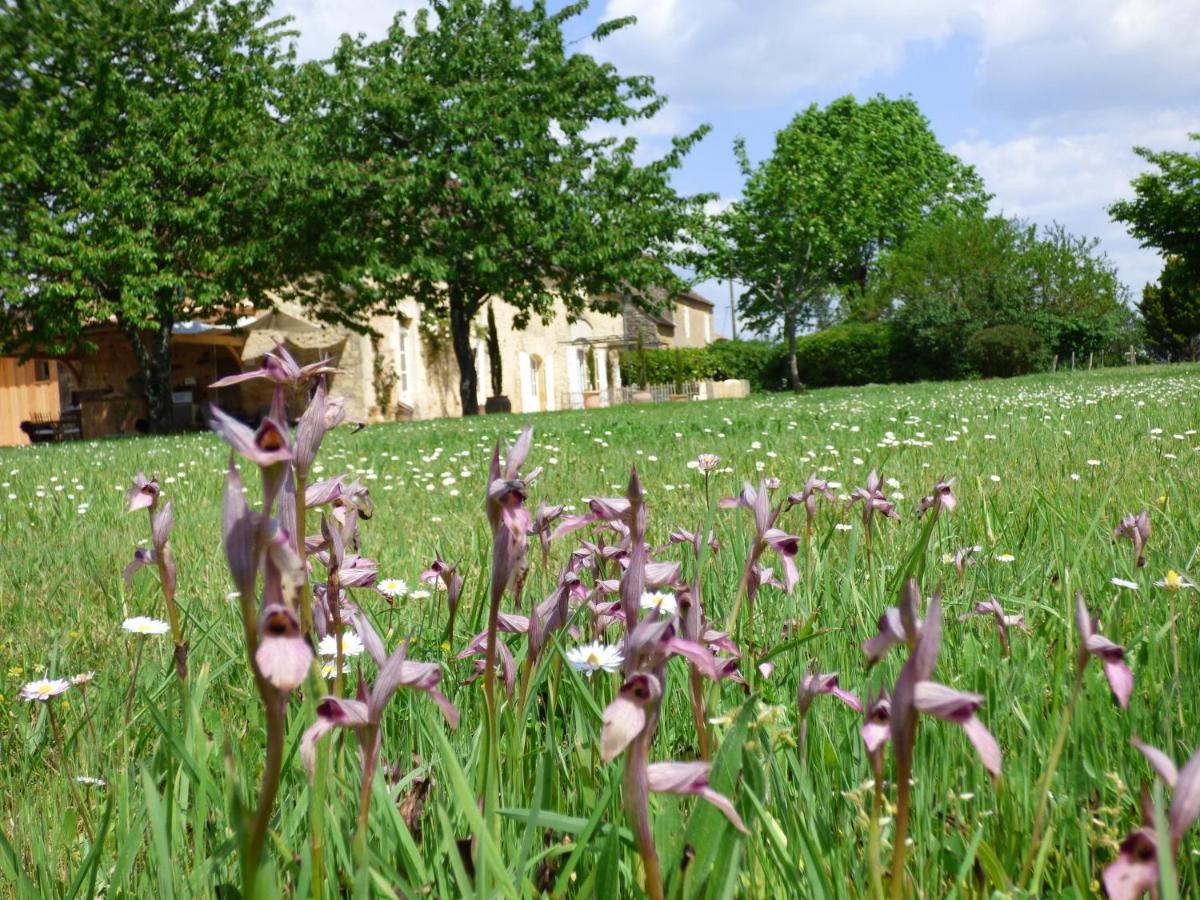 Britavit Bed & Breakfast Saint-Avit-Sénieur Exterior photo