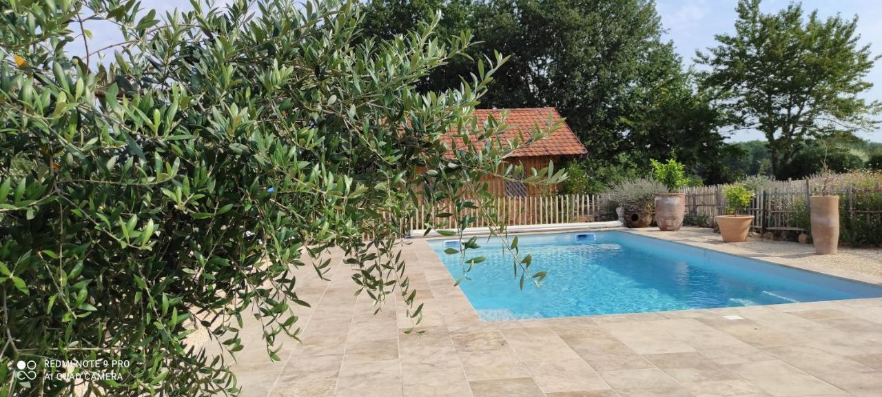 Britavit Bed & Breakfast Saint-Avit-Sénieur Exterior photo