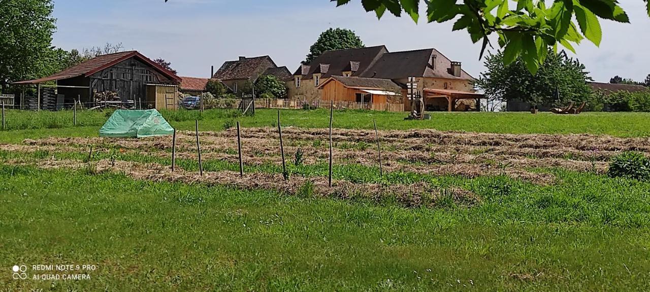 Britavit Bed & Breakfast Saint-Avit-Sénieur Exterior photo